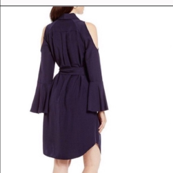 Antonio Melani Shiloh Dress - Picture 5 of 7